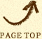 PAGE TOP